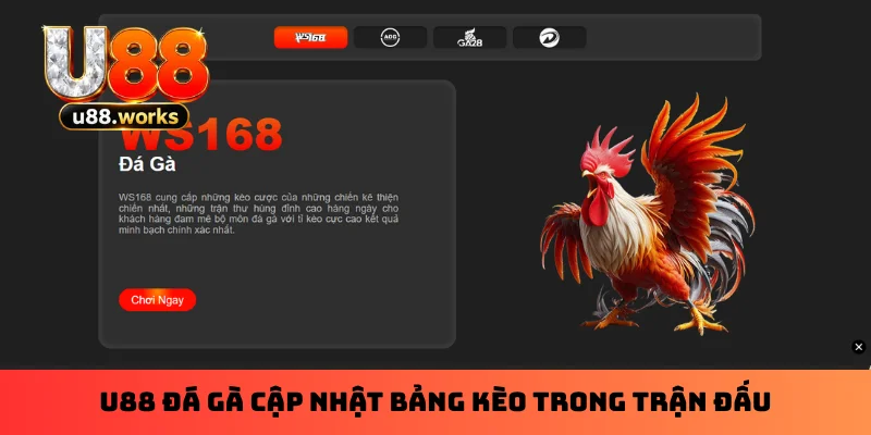 u88-da-ga-cap-nhat-bang-keo-trong-tran-dau